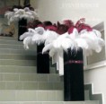 /album/fotogaleria-plumas/aranjamente-pene-strut-bordeaux-jpg/
